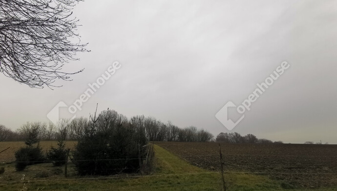 10. kép | Eladó Mezőgazdasági, Sármellék (#175513)