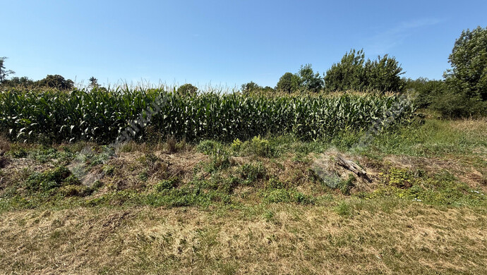 7. kép | Eladó Telek, Nagykutas (#176517)