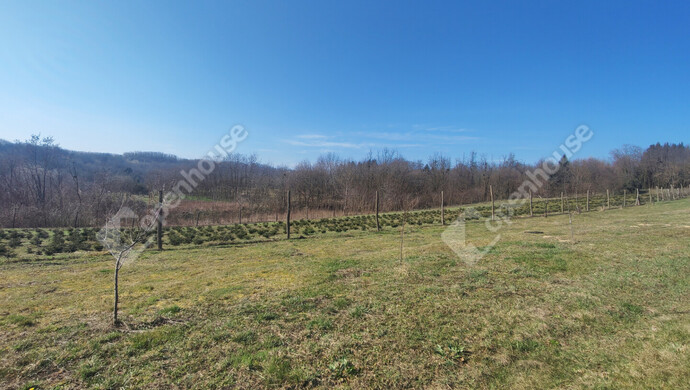 53. kép | Eladó Nyaraló, Becsehely (#180205)