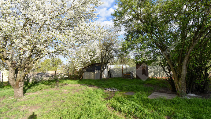 15. kép | Eladó Zárt kert, Szatymaz (#181031)