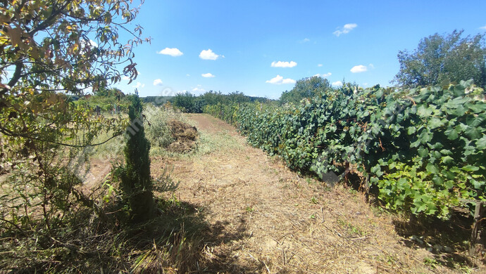 34. kép | Eladó Nyaraló, Szepetnek (#176202)