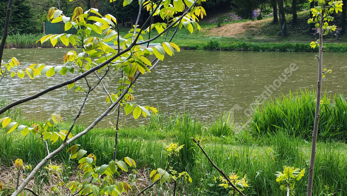 48. kép | Eladó Családi ház, Ötvöskónyi (#181241)