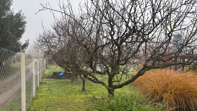 8. kép | Eladó Zárt kert, Zalaegerszeg (#179029)