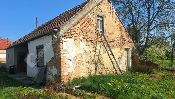 3. kép | Eladó Családi ház, Újkér (#181156)