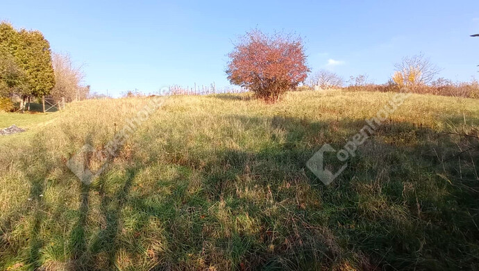 0. kép | Eladó Zárt kert, Zalaegerszeg (#69556)