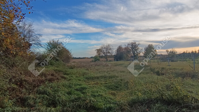 14. kép | Eladó Családi ház, Sand (#178247)