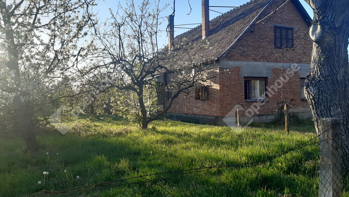 67. kép | Eladó Családi ház, Belezna (#180874)