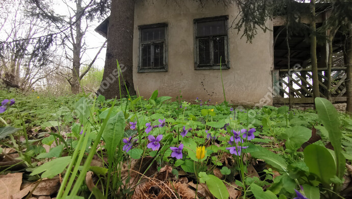 40. kép | Eladó Nyaraló, Homokkomárom (#175260)