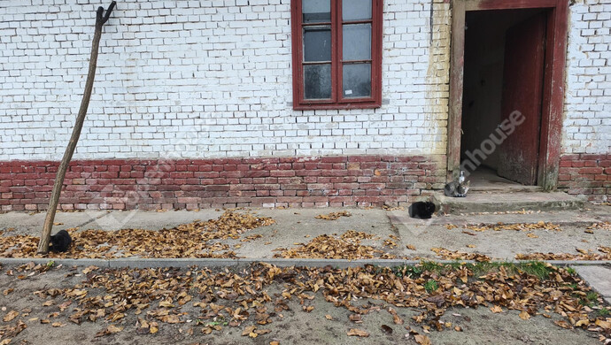 12. kép | Eladó Családi ház, Marcali (#177836)