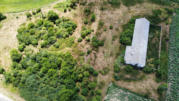 2. kép | Kiadó Mezőgazdasági, Bedegkér (#176977)