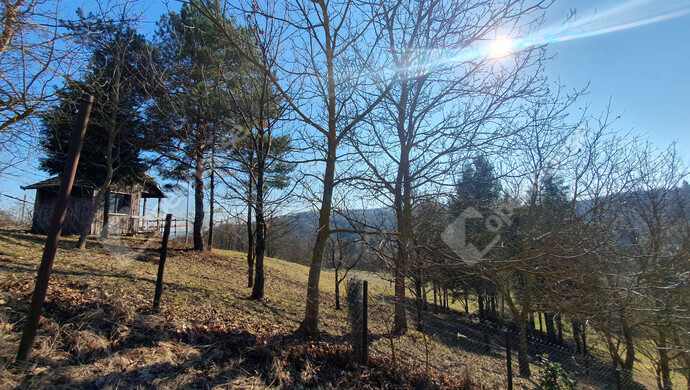 90. kép | Eladó Nyaraló, Homokkomárom (#180173)