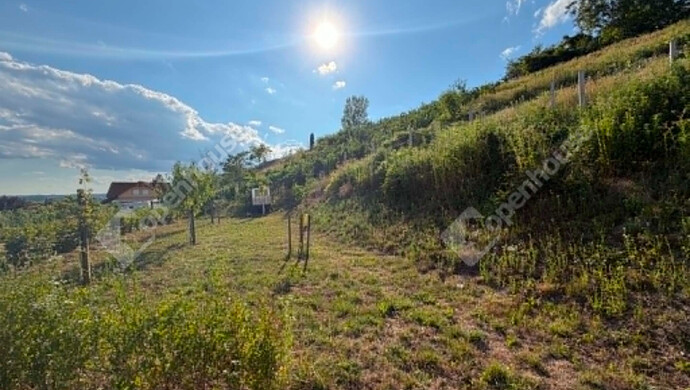 3. kép | Eladó Telek, Zalaegerszeg (#182918)