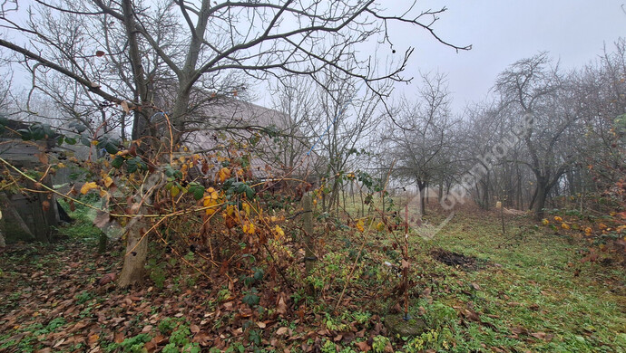 5. kép | Eladó Zárt kert, Mályi (#178619)