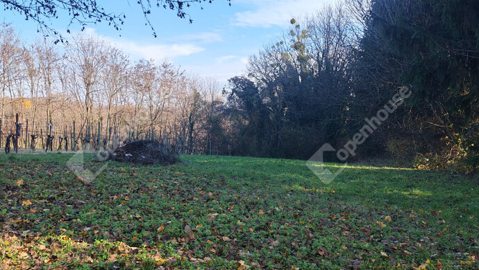 18. kép | Eladó Nyaraló, Letenye (#178652)