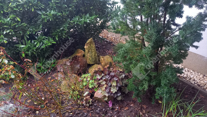 78. kép | Eladó Családi ház, Pápa (#178516)