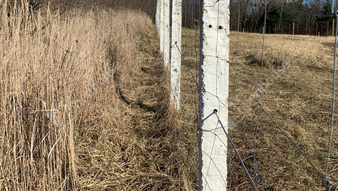 36. kép | Eladó Nyaraló, Homokkomárom (#179898)