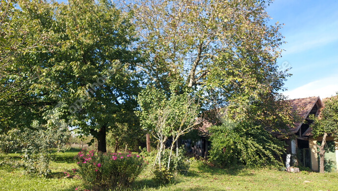 18. kép | Eladó Családi ház, Lengyeltóti (#177892)