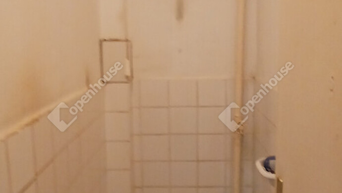 16. kép | Eladó Ikerház, Gősfa (#179852)