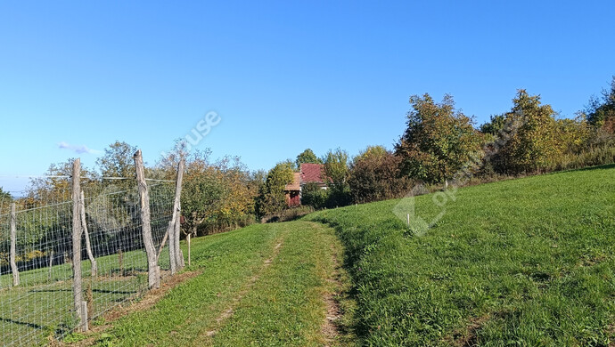 7. kép | Eladó Családi ház, Újudvar (#178058)