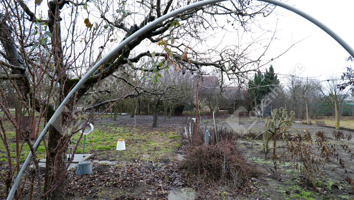 10. kép | Eladó Zárt kert, Szeged (#179444)