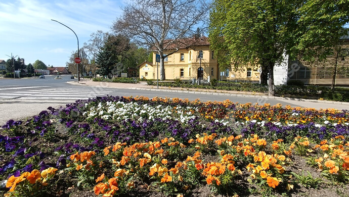 35. kép | Eladó Családi ház, Balatonföldvár (#179851)