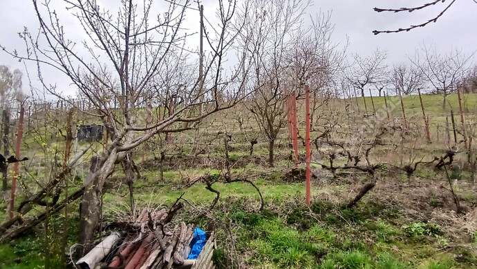 19. kép | Eladó Zárt kert, Vasvár (#180645)