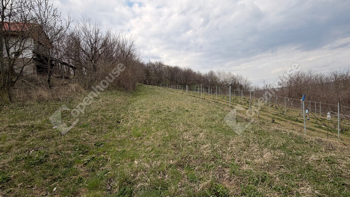 8. kép | Eladó Zárt kert, Egervár (#180702)