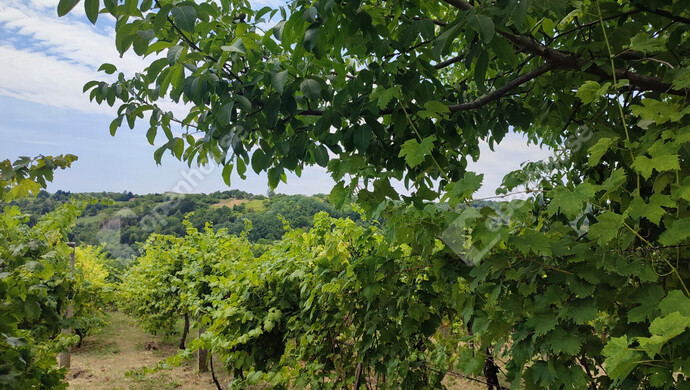 30. kép | Eladó Nyaraló, Homokkomárom (#174607)