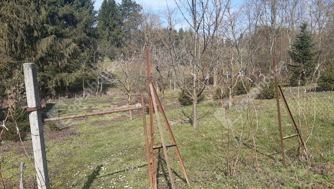 42. kép | Eladó Családi ház, Nagykanizsa (#180380)