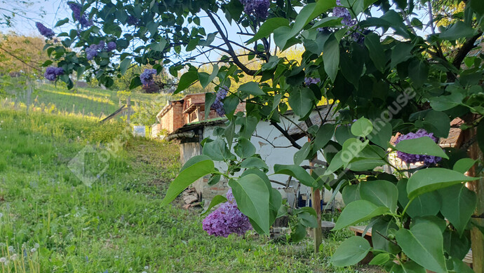 17. kép | Eladó Nyaraló, Homokkomárom (#181371)