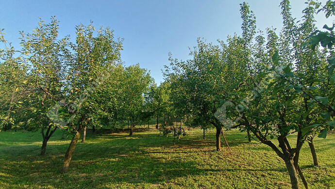 22. kép | Eladó Családi ház, Marcali (#177837)