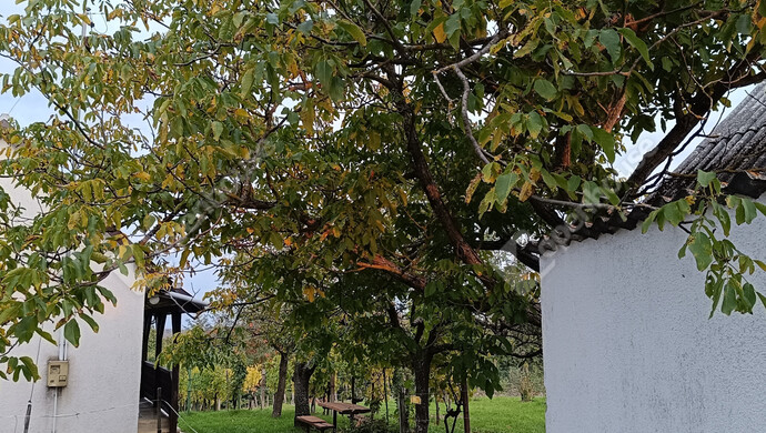 20. kép | Eladó Családi ház, Letenye (#178074)