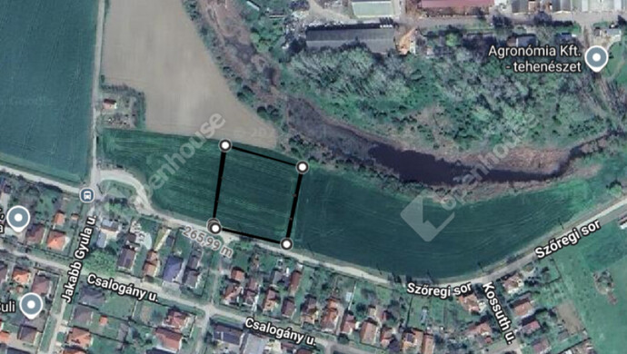 1. kép | Eladó Telek, Deszk (#177432)