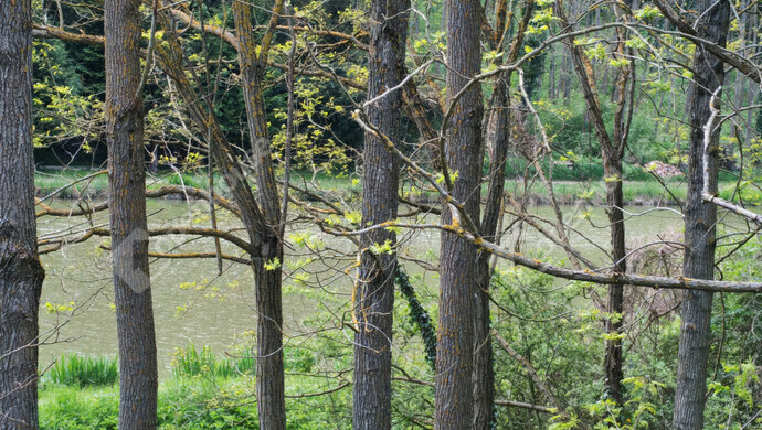 56. kép | Eladó Családi ház, Ötvöskónyi (#181241)