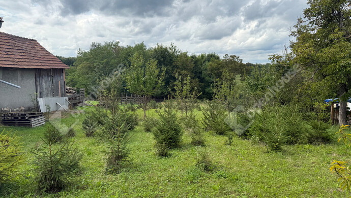 30. kép | Eladó Telek, Kustánszeg (#176957)