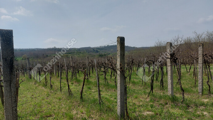 4. kép | Eladó Zárt kert, Écs (#181136)