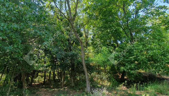 5. kép | Eladó Nyaraló, Őrtilos (#183651)