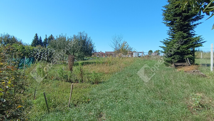 22. kép | Eladó Családi ház, Nagykanizsa (#177221)