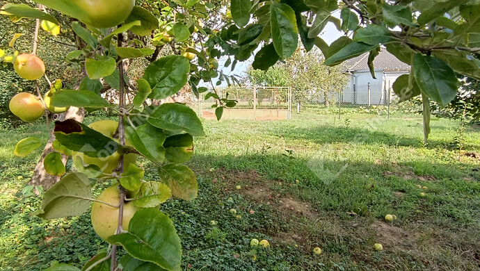 25. kép | Eladó Családi ház, Letenye (#177130)