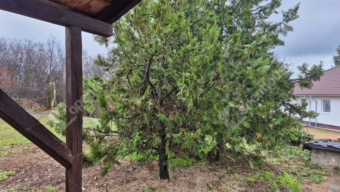 2. kép | Eladó Telek, Monorierdő (#178243)