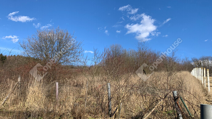 37. kép | Eladó Nyaraló, Homokkomárom (#179898)