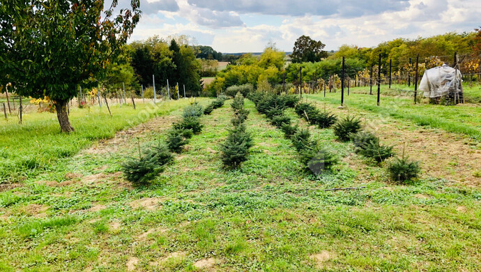 13. kép | Eladó Nyaraló, Tótszentmárton (#180089)