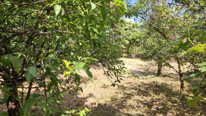 27. kép | Kert | Eladó Családi ház, Barcs (#176095)