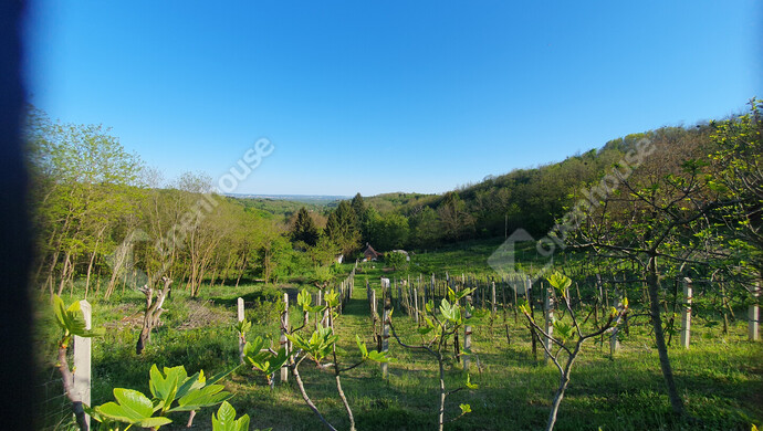 28. kép | Eladó Nyaraló, Homokkomárom (#181371)