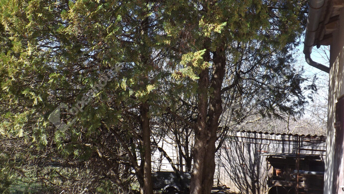 32. kép | Eladó Családi ház, Somlószőlős (#179906)