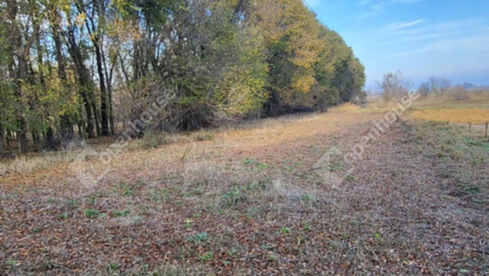 3. kép | Eladó Mezőgazdasági, Zsombó (#178321)