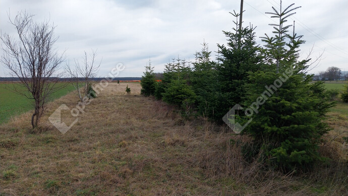 6. kép | Eladó Családi ház, Acsád (#179834)