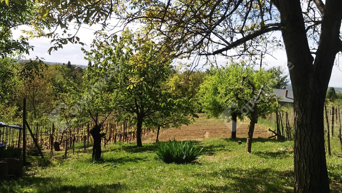 0. kép | Telek | Eladó Zárt kert, Zalaegerszeg (#176917)