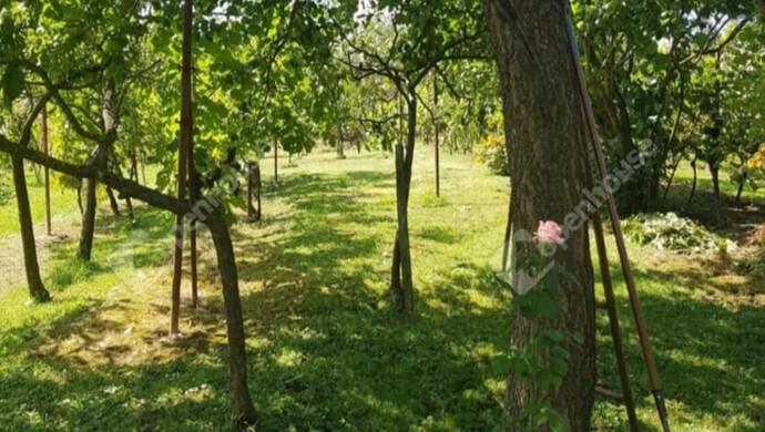 8. kép | Eladó Családi ház, Zalaegerszeg (#177461)