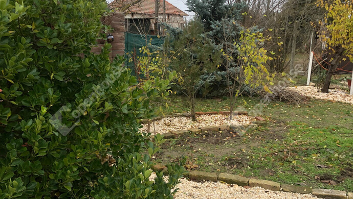 22. kép | Eladó Zárt kert, Szatymaz (#172857)